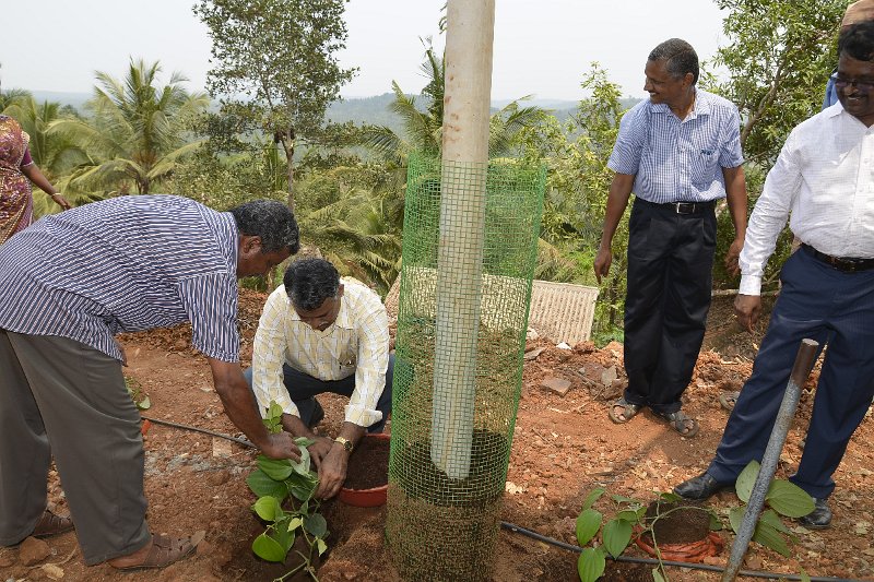 03Apr2014_00040 (114).JPG